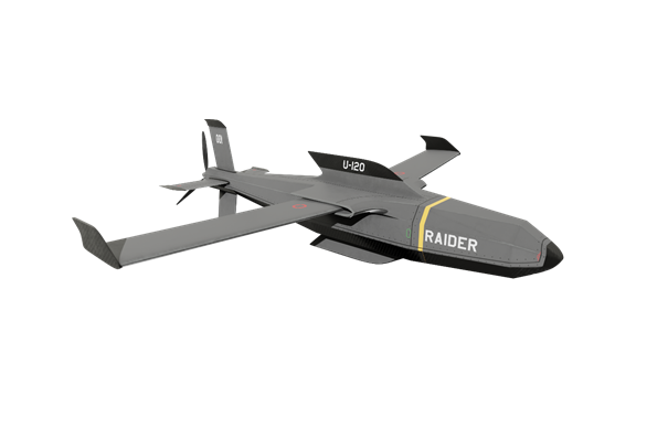 175446